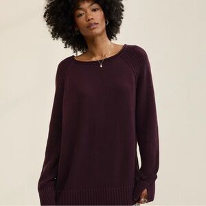 NWT Aerie Bistro Sweater